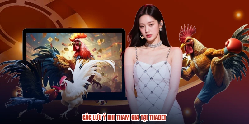 Các lưu ý khi tham gia tại THABET Các lưu ý khi tham gia tại THABET