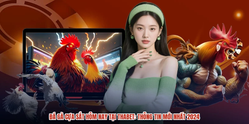 Đá Gà Cựa Sắt Hôm Nay Tại THABET Thông Tin Mới Nhất 2024
