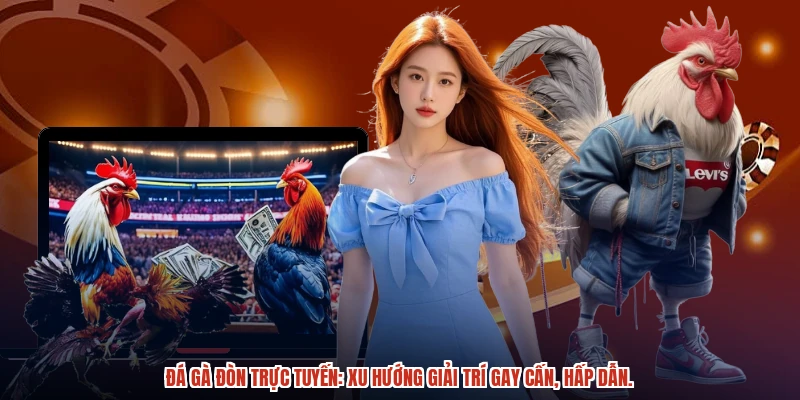 Đá gà đòn trực tuyến xu hướng giải trí gay cấn, hấp dẫn. Đá gà đòn trực tuyến xu hướng giải trí gay cấn, hấp dẫn.