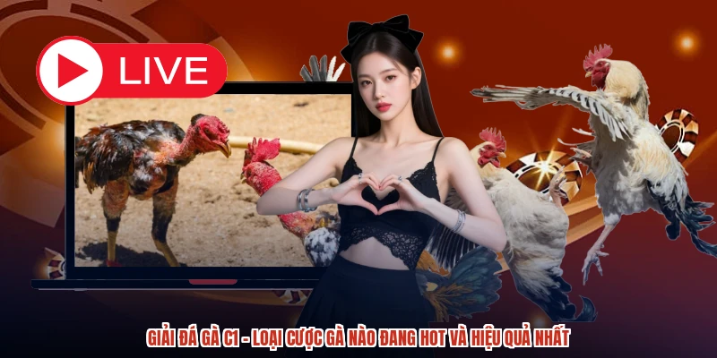 Giải Đá Gà C1 - Loại Cược Gà Nào Đang Hot Và Hiệu Quả Nhất