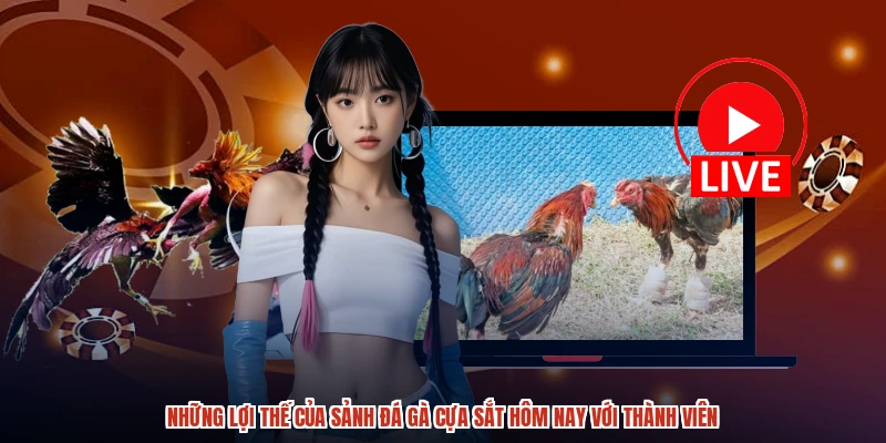 Những lợi thế của sảnh đá gà cựa sắt hôm nay với thành viên Những lợi thế của sảnh đá gà cựa sắt hôm nay với thành viên