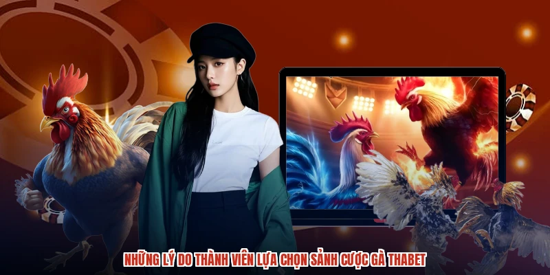 Những lý do thành viên lựa chọn sảnh cược gà THABET Những lý do thành viên lựa chọn sảnh cược gà THABET