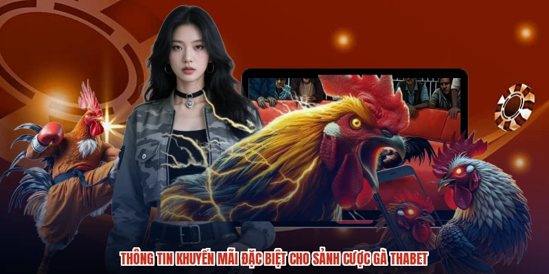 Thông tin khuyến mãi đặc biệt cho sảnh cược gà THABET Thông tin khuyến mãi đặc biệt cho sảnh cược gà THABET